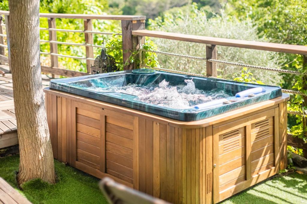 Cottage Provençal piscine et spa - 3