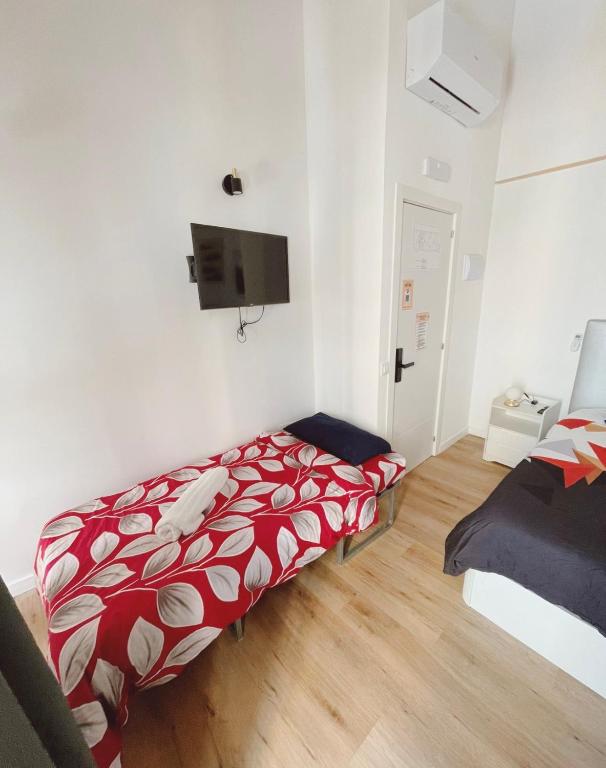 Habitación en Alicante plus 6 - 5