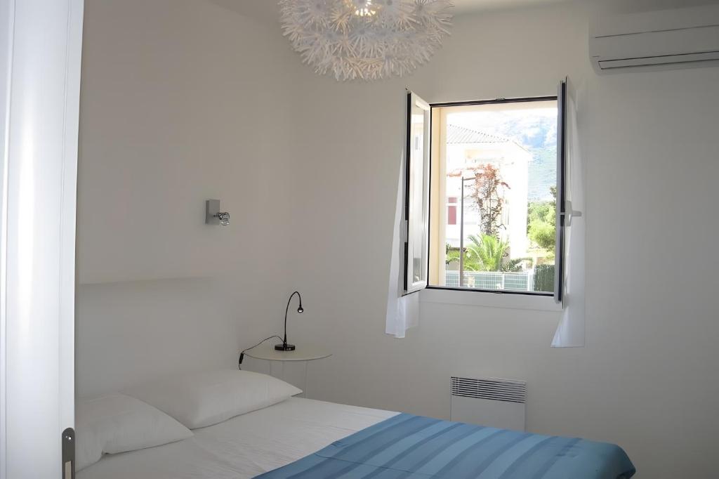 Appartamento T3 Calvi - 4