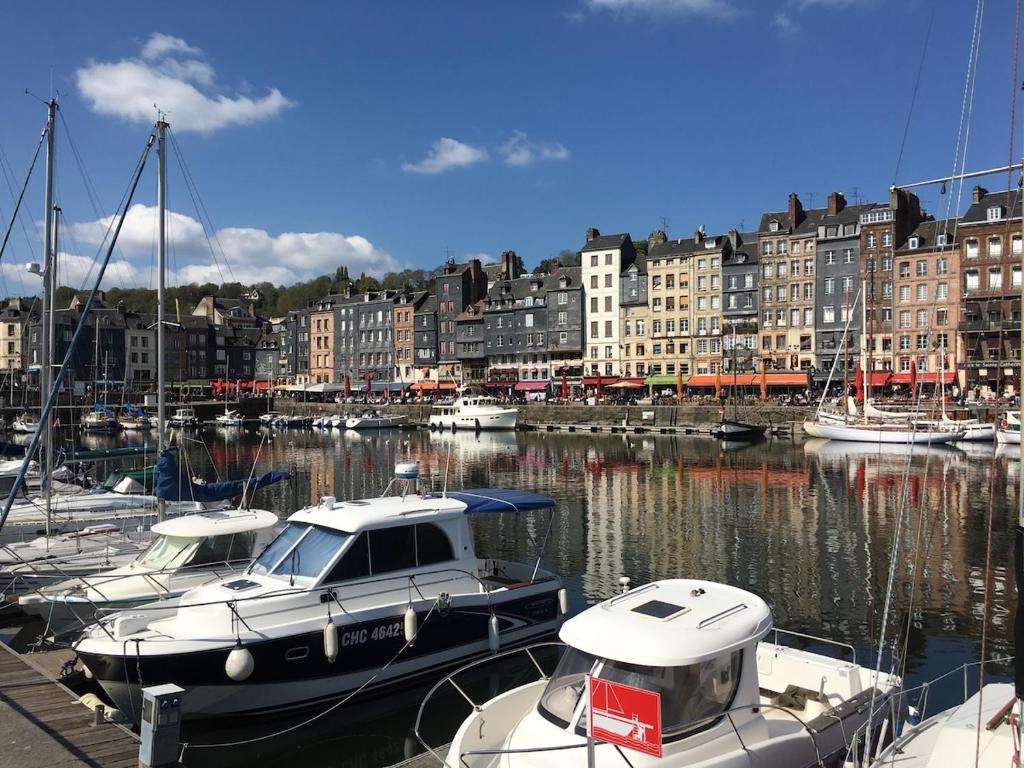 Terrasse privée, calme et confort à Honfleur - 5