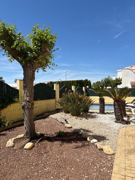 Casa Campanilla - 3