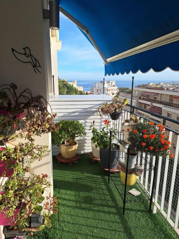 Superb 2 bedrooms, pools, quiet, near sea - 4
