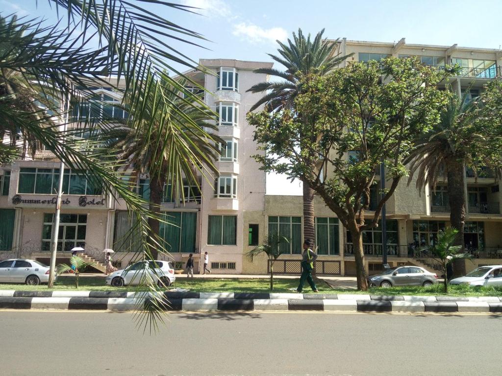 Ảnh 5