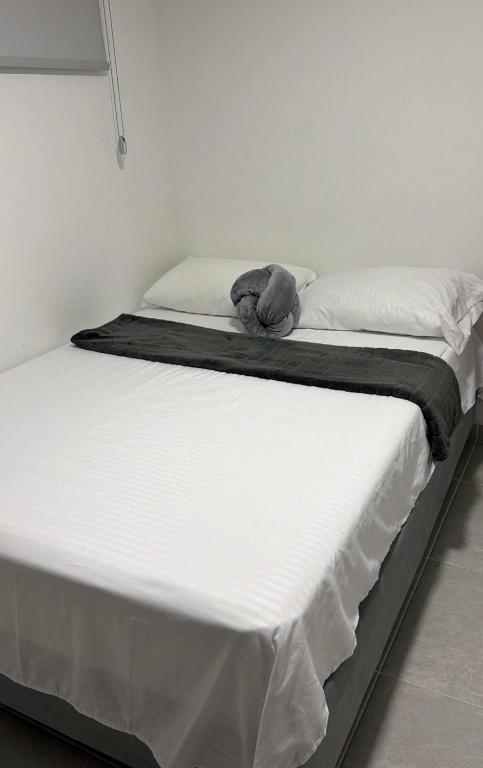 Apt Norte de Barranquilla Riomar - 3