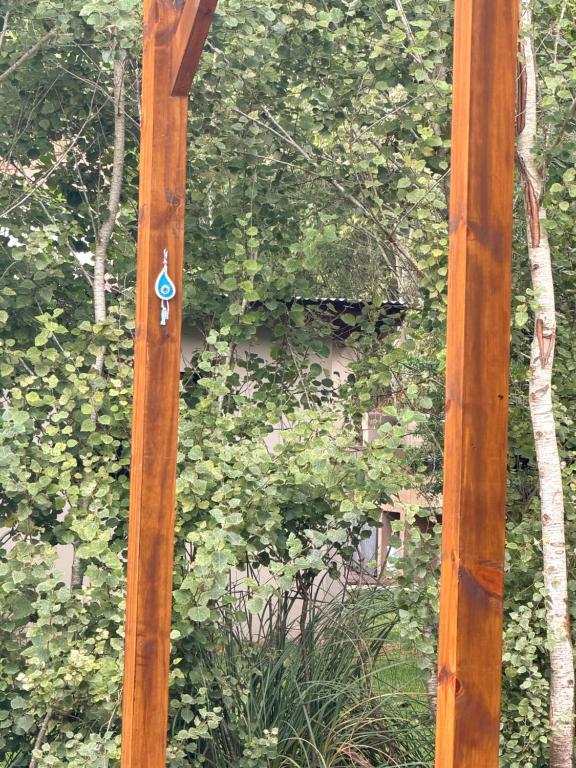 Container House in the Forest 4 Blocks from the Sea - 3