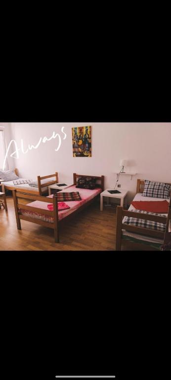 JASMIN suites - 2
