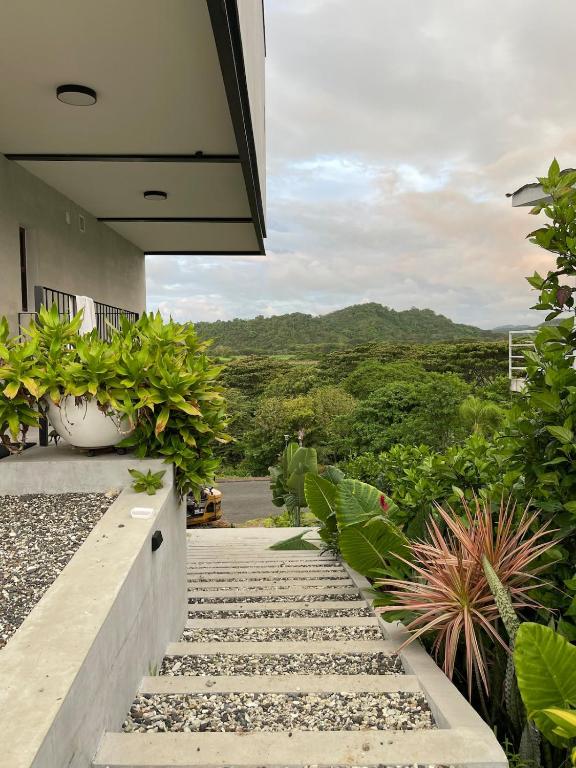 Villa Naia, a nature-led retreat in Manabí - 3