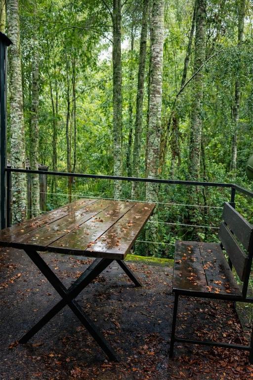 cabaña en la naturaleza - 5