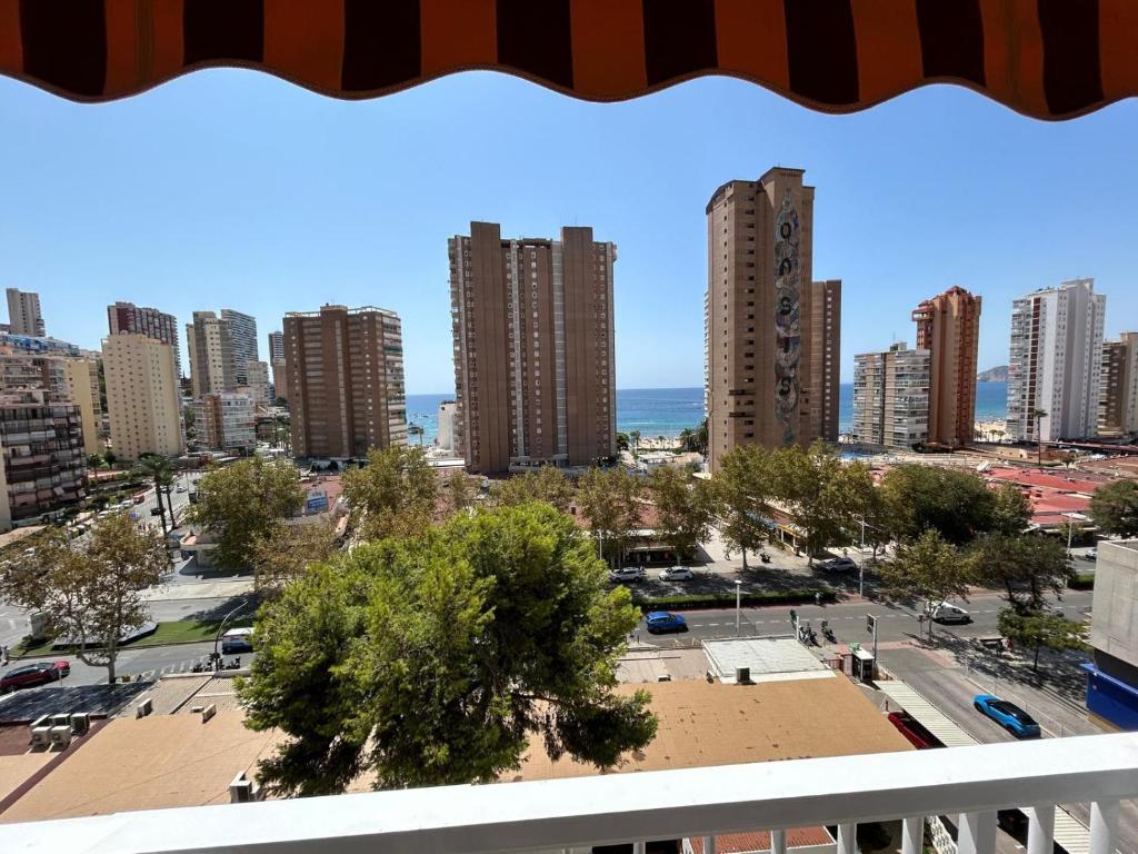 Estudio Albatros Benidorm - 2