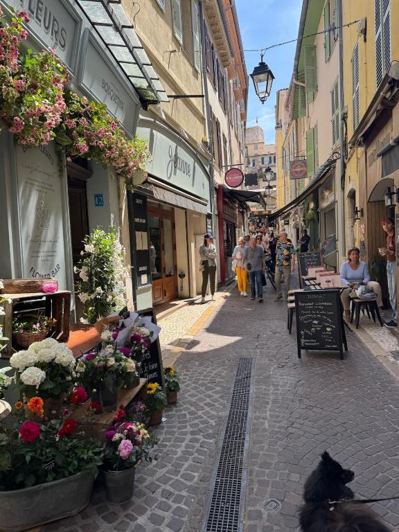 5 SADE - Apartment in Antibes old town - 1