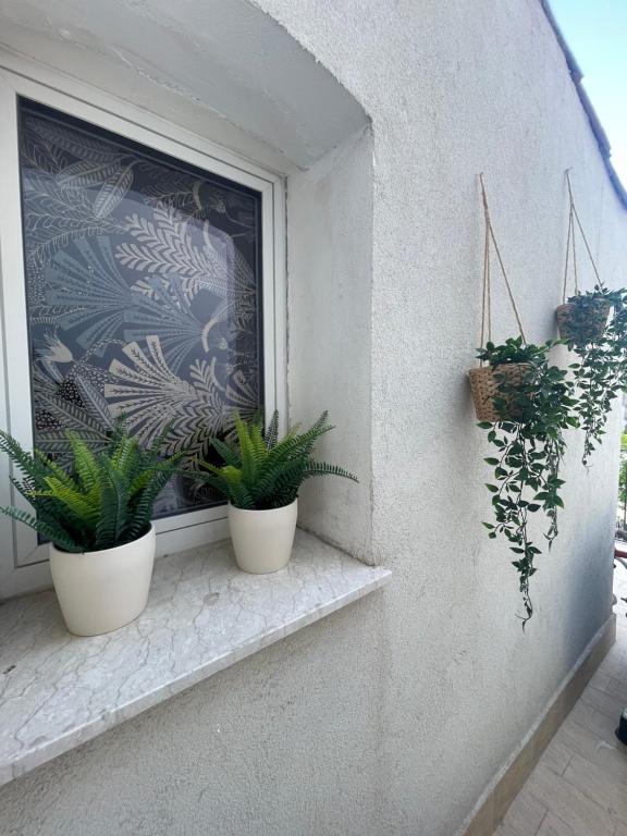 Suite Del Borgo - 2