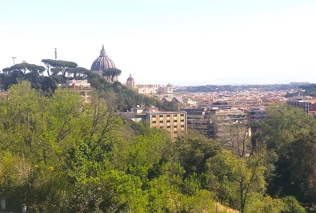 St Peter view - 1