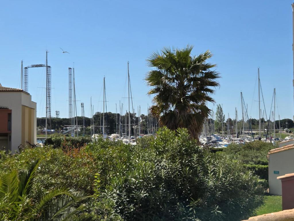 ABBAYE DU CAP Très joli 2 pièces moderne et climatisé proche port Cap d'Agde - 4