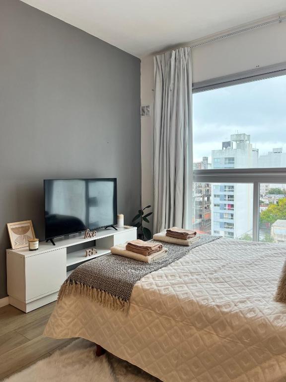 Studio 60 - Monoambiente premium con terraza y pileta - 4