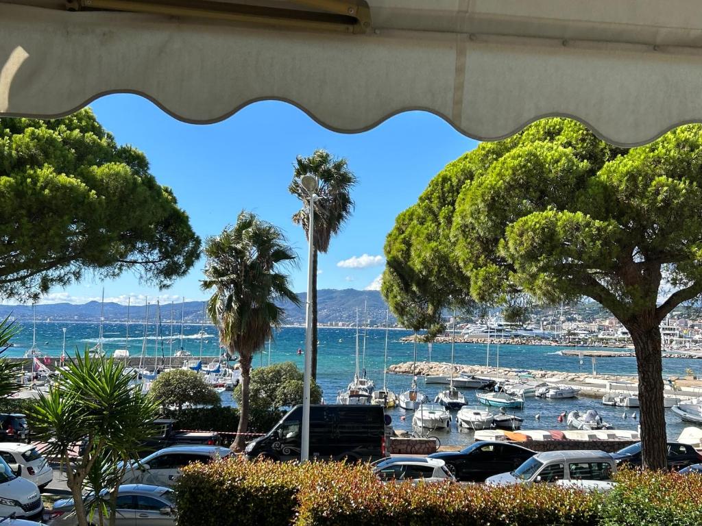 Croisette Palm Beach Amazing SeaView - 5