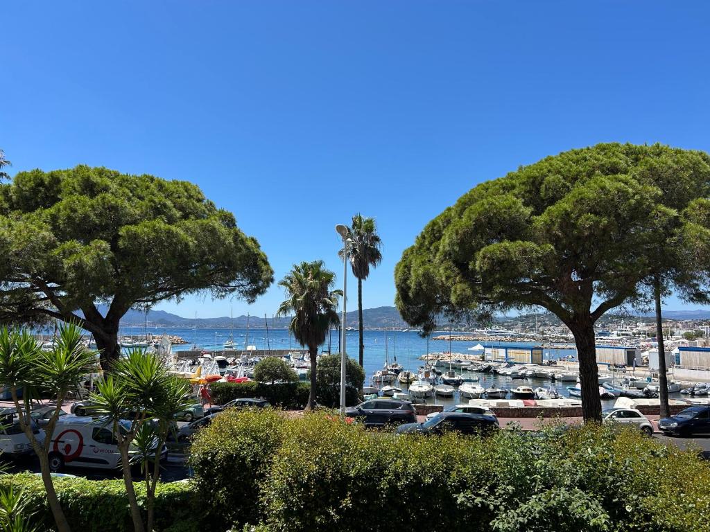 Croisette Palm Beach Amazing SeaView - 1