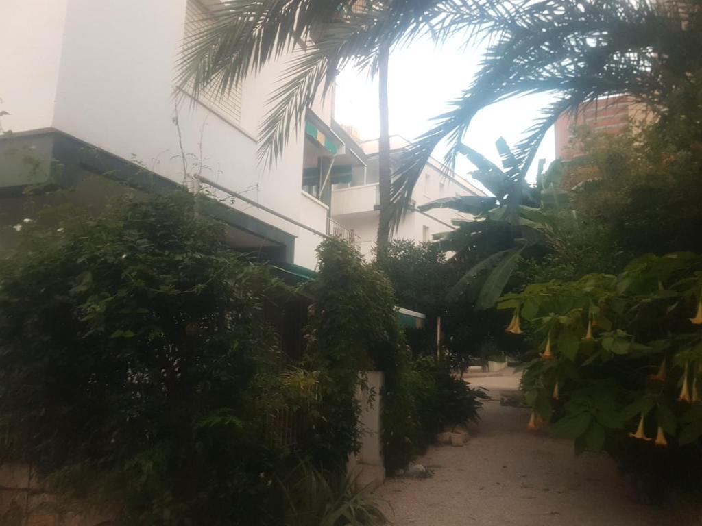 Coqueto Apartment 100m from Levante Beach - 3