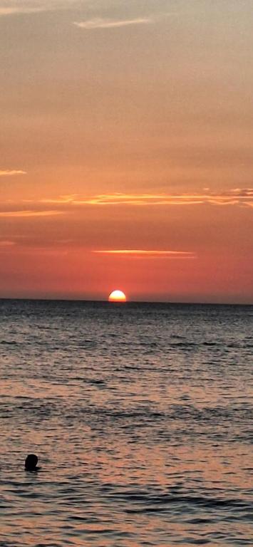 Suite Premiun Jacuzzi Vista al mar Bello Horizonte - 4