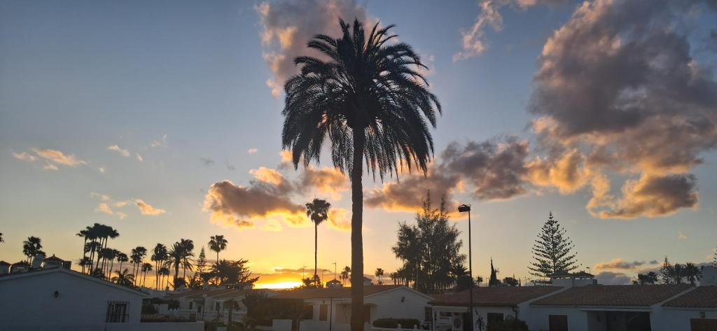 Santa Barbara by Placida Mar - 3
