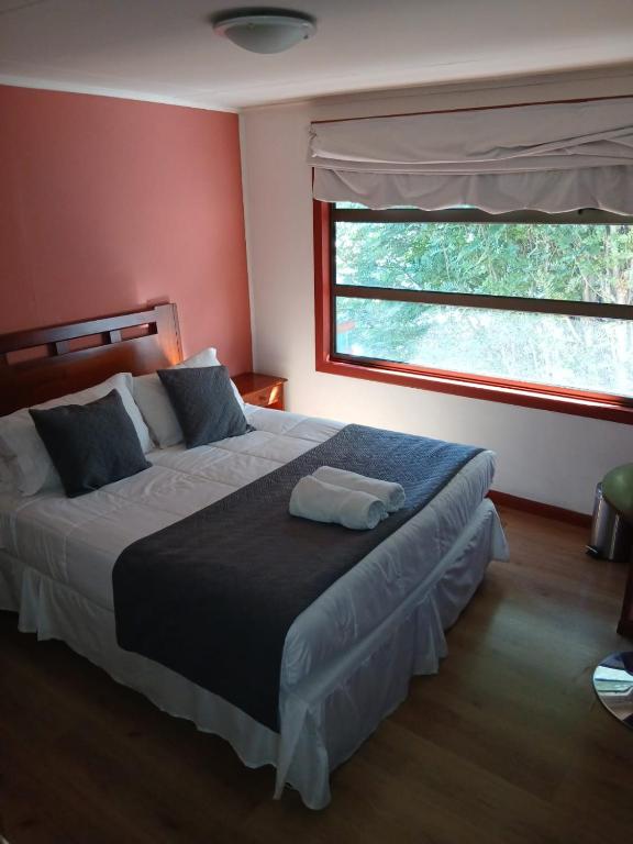 Hotel Milodon - 3