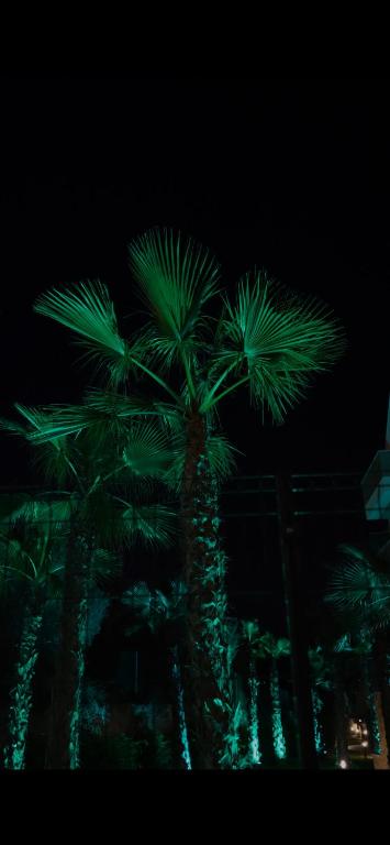Casa Lauri - 2