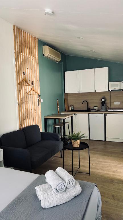 Studio refait à neuf avec jardin Aigues Mortes - 2