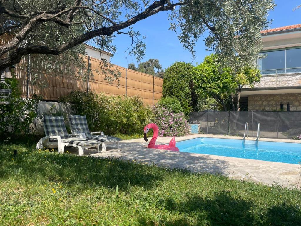 Villa Lou Soulas - Bas de villa avec piscine proche de Nice - 4