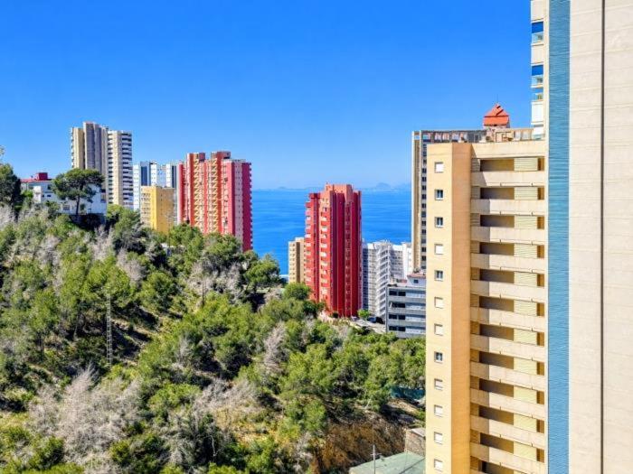 Apartamento premium con garaje y gran terraza - 3