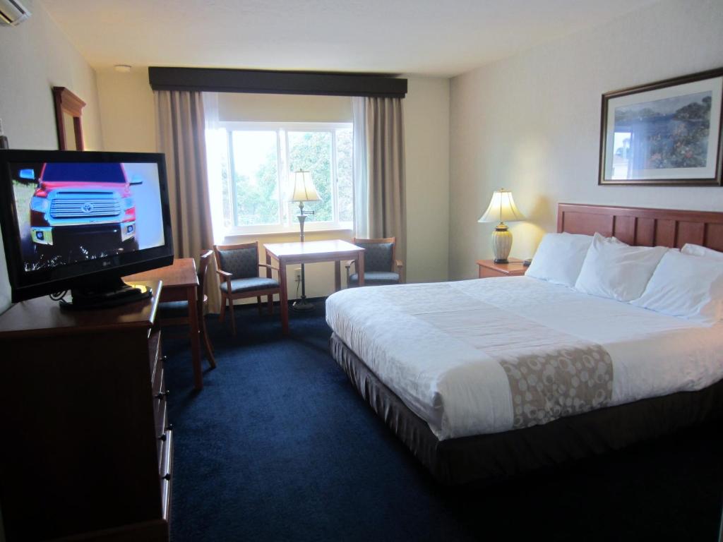 Newport Channel Inn photo