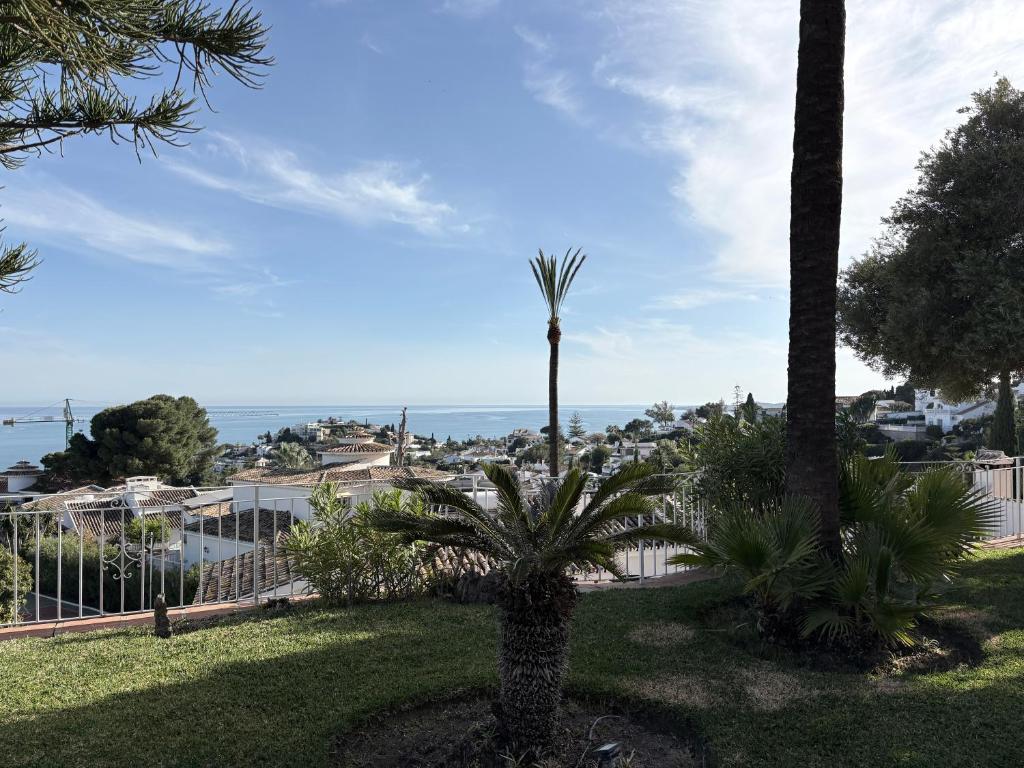 Mi Paraíso - 4