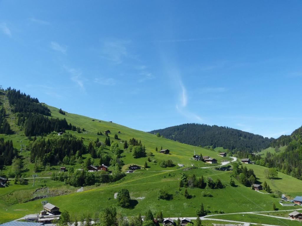 Appartement cosy, pied de piste, cheminée, animaux admis - FR-1-304-153 - 3