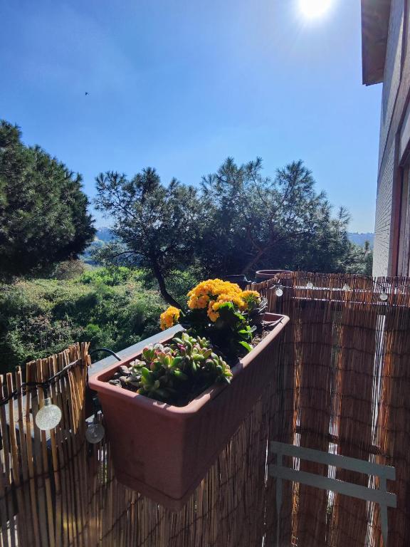 Sage Green House Roma Gemelli - 4