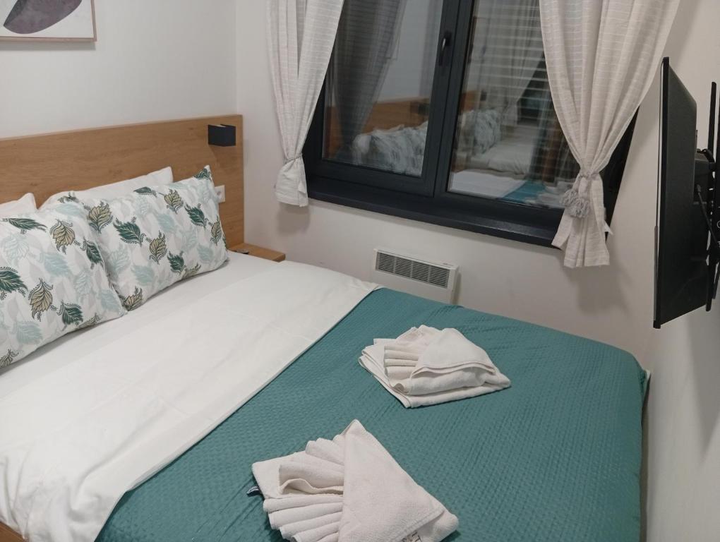 Sunčev sjaj Titova vila Zlatibor - 3