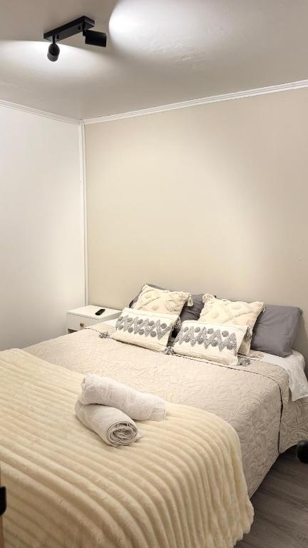 Departamento acogedor y moderno Temuco - 3