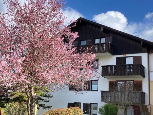 FeWo Alpenveilchen im Oberallgäu mit Pool, Sauna und tollem Ausblick vom großen Balkon - 1