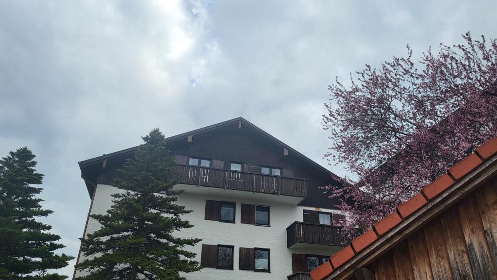 FeWo Alpenveilchen im Oberallgäu mit Pool, Sauna und tollem Ausblick vom großen Balkon - 2