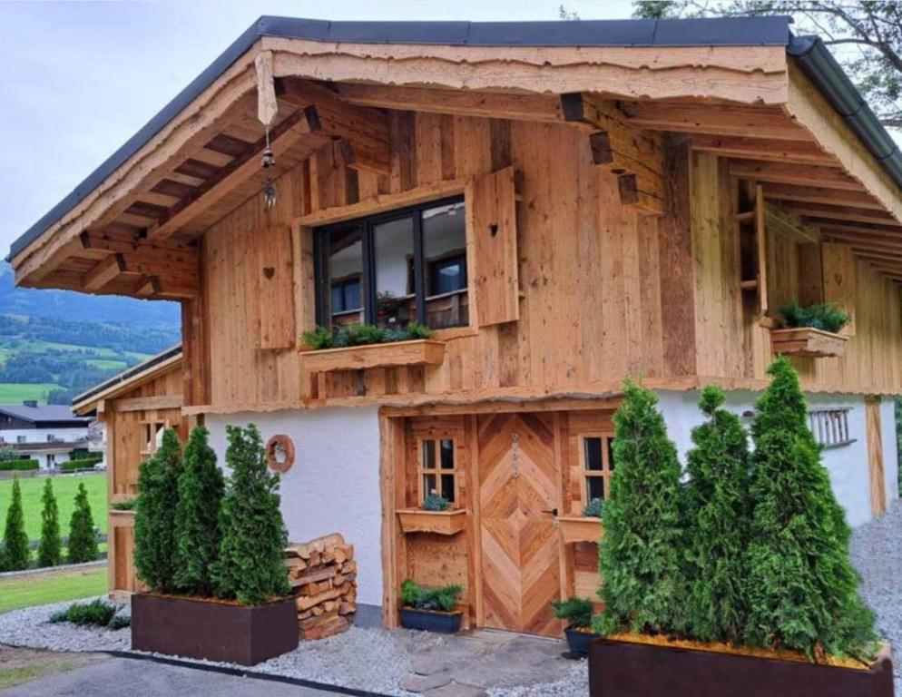 Chalet-Kitzalpen - 2