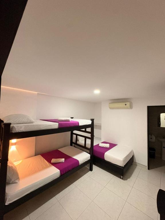 Hotel Plaza Roma - 3