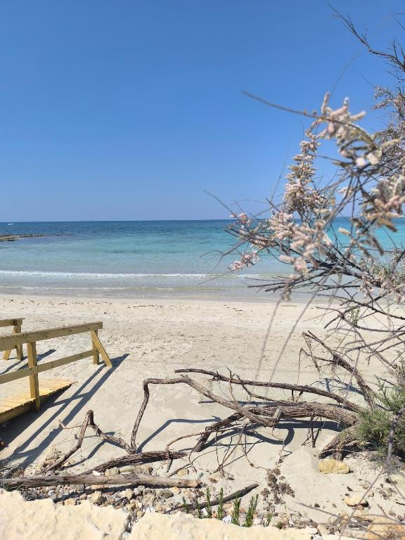 La Casetta Al Mar - 3