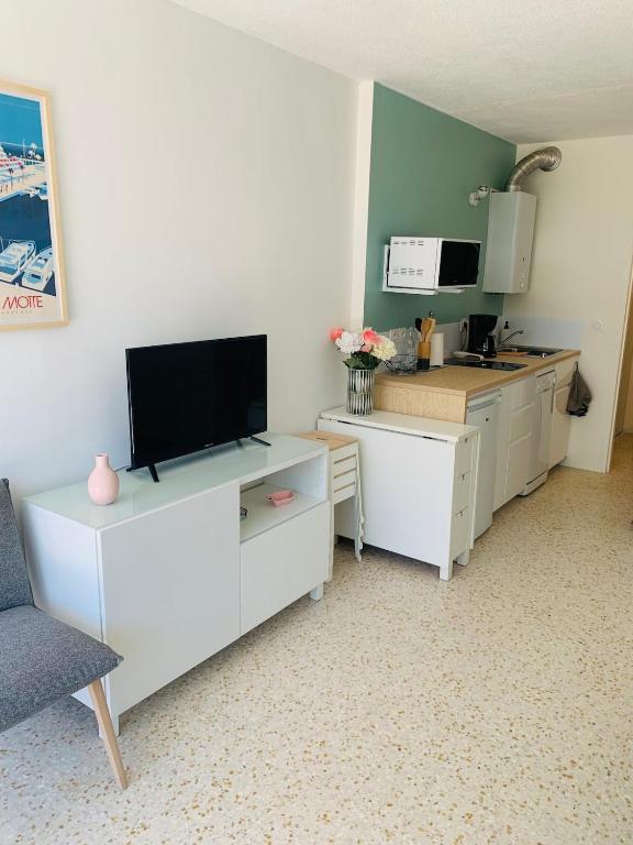 Studio climatisé 4 personnes, parking, RDC terrasse, plage à pied 10mn - 4