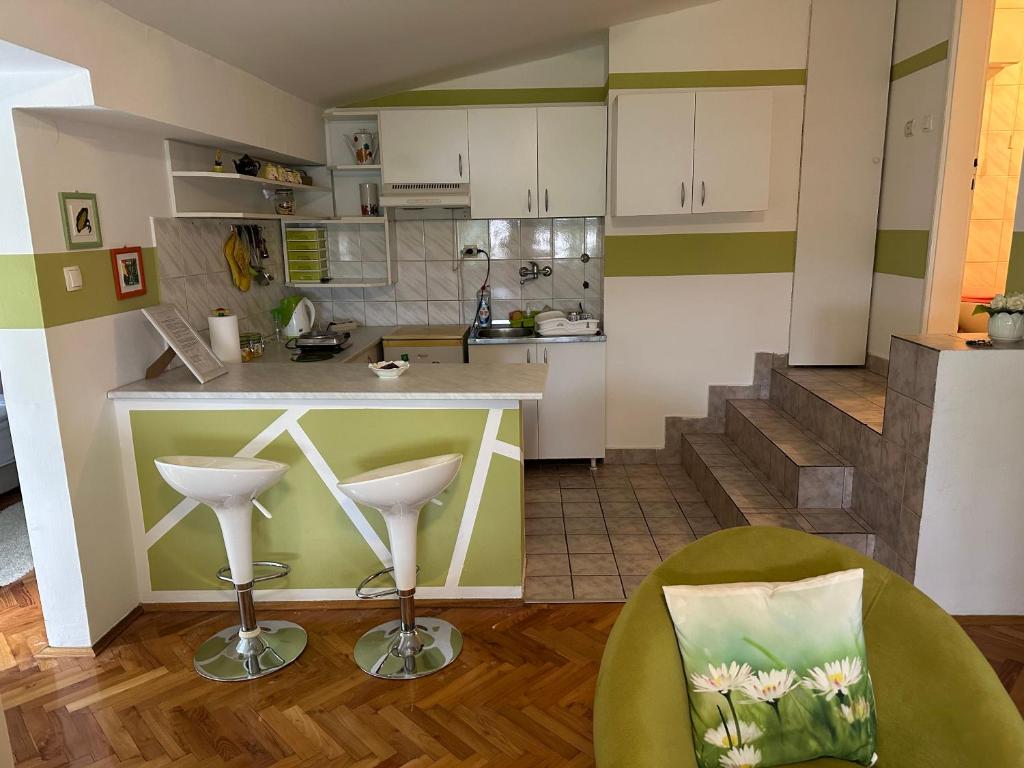 Saša Apartman - 2