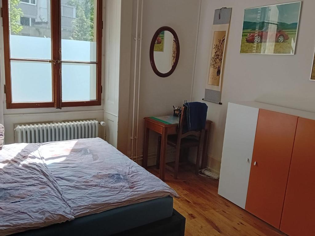 Spacious unique 150m2 apartment Geneva city center - 5