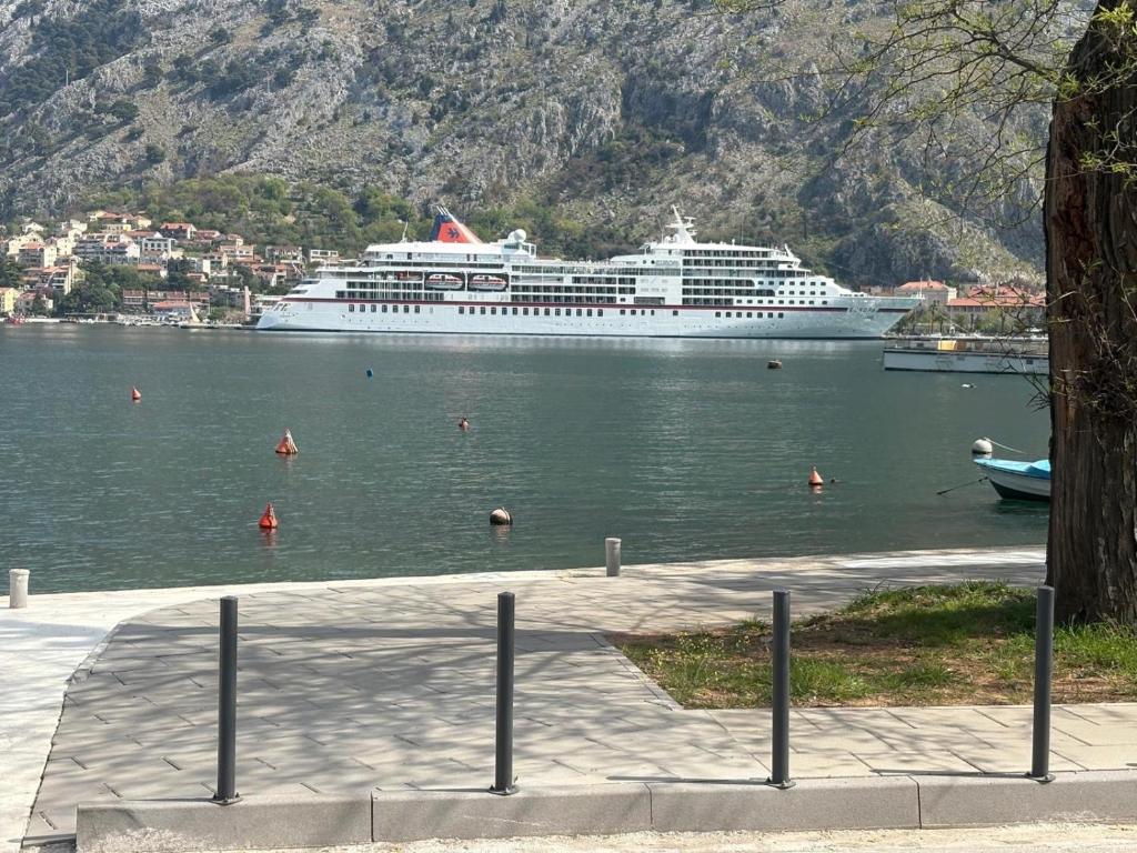 Apartment of Silence Kotor - 4