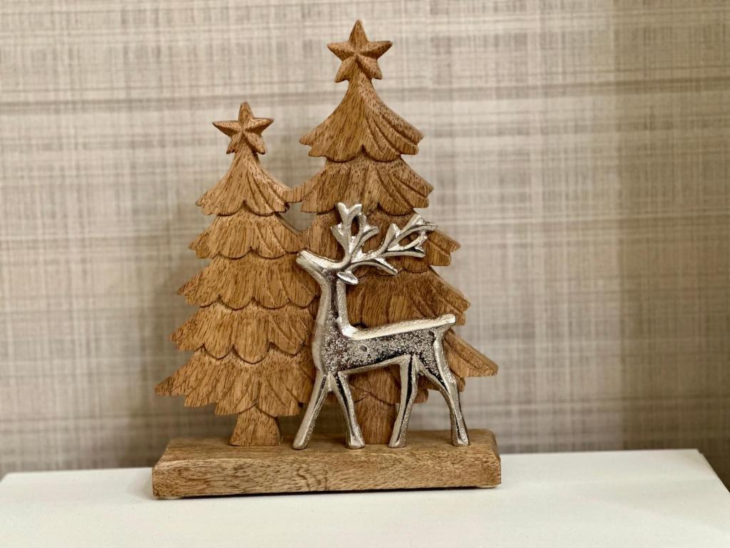 Snowflake Suite Elegante appartamento a tema Natale in centro a Chioggia - 2