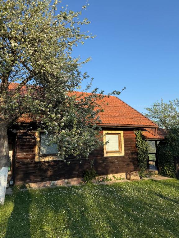 Visoko Gorani Cottage - 3