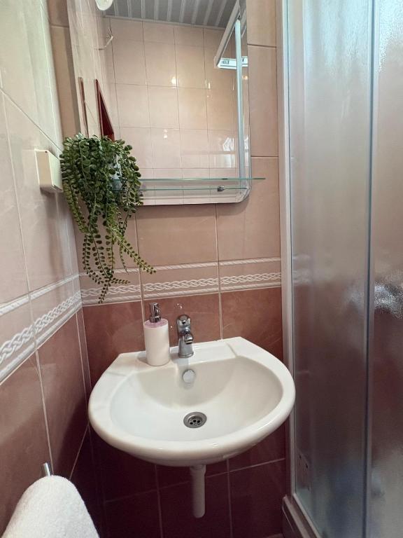 BlueWave Apartmani - Bjelila - 4