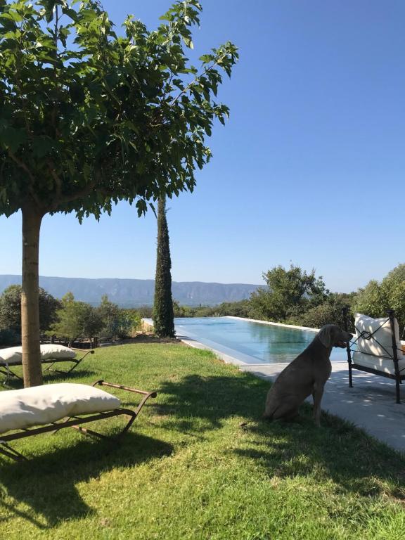 Les Savournins Gordes - La Borie des Alpilles - 1