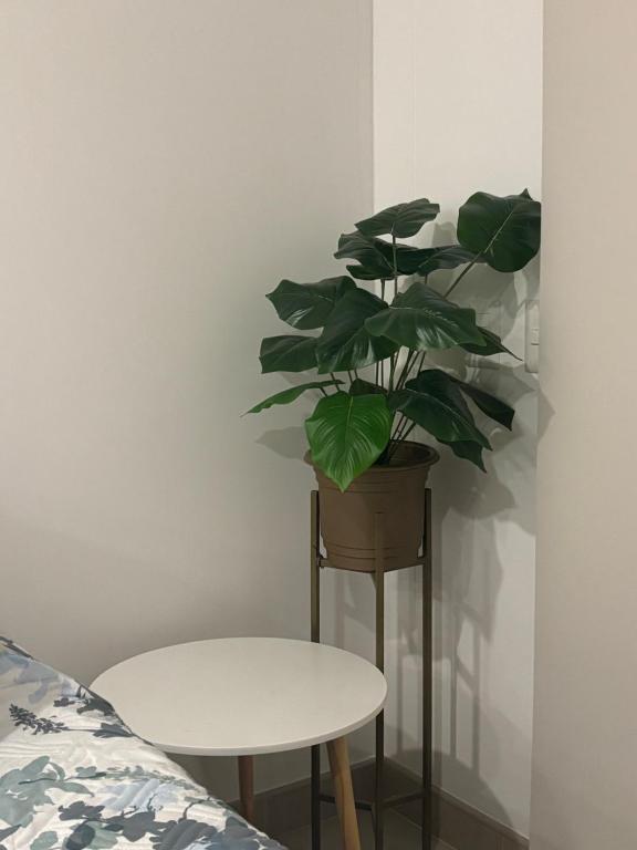 Apartamento Nuevo Familiar Reserva del Mar II para 4 personas - 5