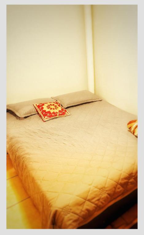 My house hostel - 2