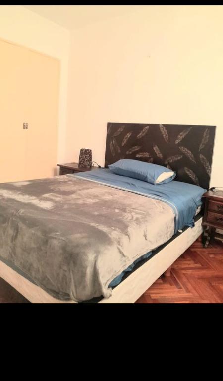 Alquileres paoÑ - 2